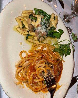 Bucatini all' Amatriciana and Cavatelli