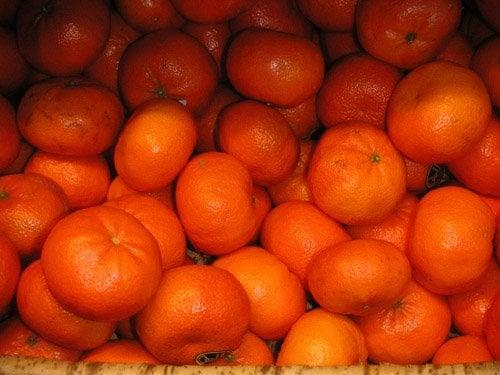 Fresh organic oranges