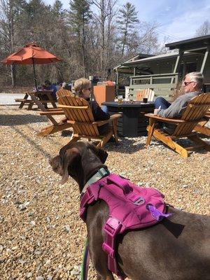 Outdoor area, picnic tables and a fire pit