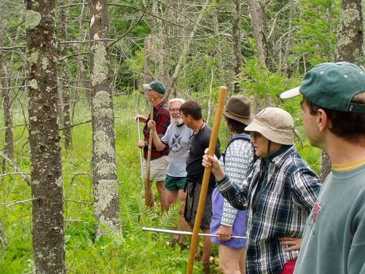 Adult campers exploring one of our two tamarack bogs.