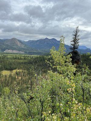 Denali National Park