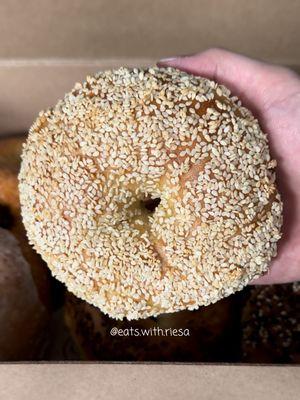 Sesame Bagel