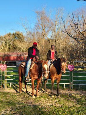 Horse Rides of Pensacola