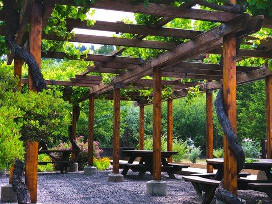 Vine-canopied wine garden