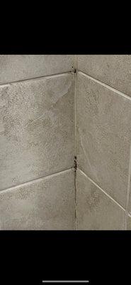 Grout needs cleaning