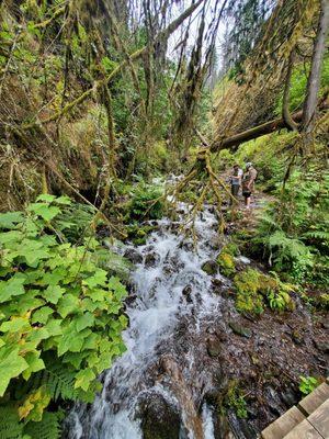 Wahkeena Falls