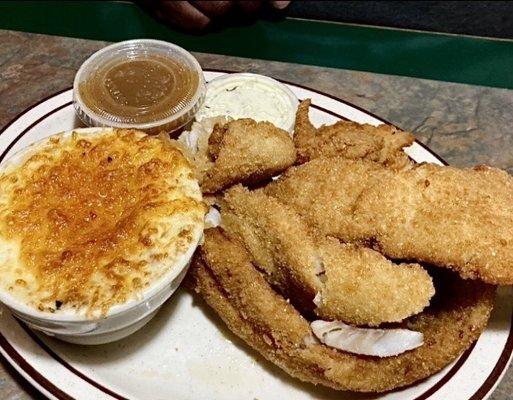 Battered Cod: with cheesy baked mashed potatoes and gravy on the side