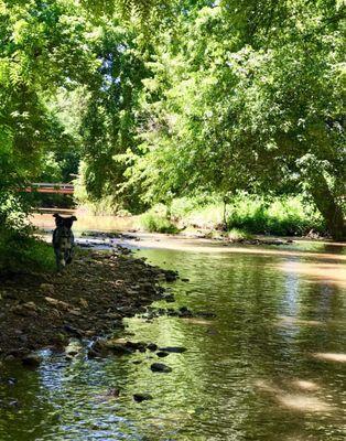 Creek side