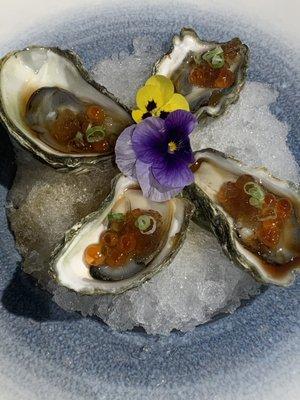 Kumomoto oyster with ponzu sauce and ponzu jelly