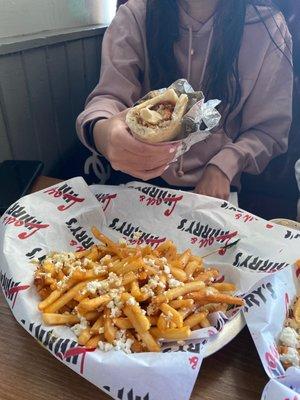 Chicken Tender Pita Sandwich and Greek French Fries