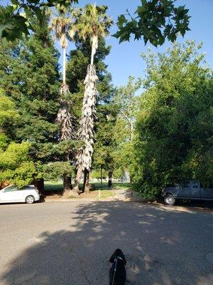 "Backdoor" entrance to the park.