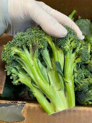 This is the broccoli the manager on shift said only had a few bad spots and we could still use it.