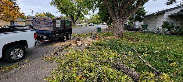 Storm clean up. Downed tree branch removal.