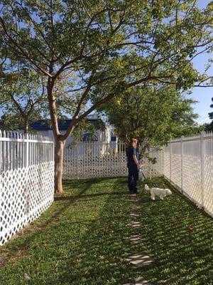 Fenced play area for boarding dogs