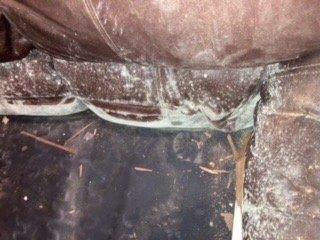 Leather couch water damage from mold and debris all over other furniture