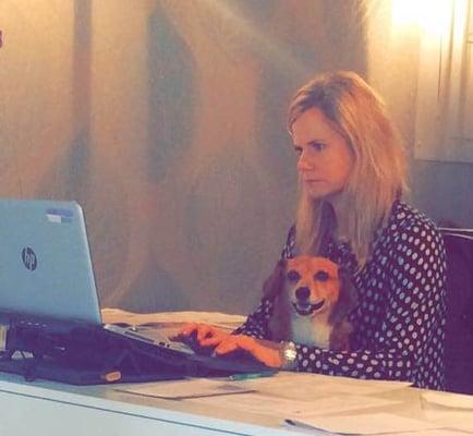 Julie hard at work with her dog Scooter to assist