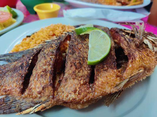 Fried fish - Mojarra Frita, special for the day, not on the menu