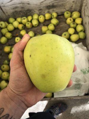 Massive apples