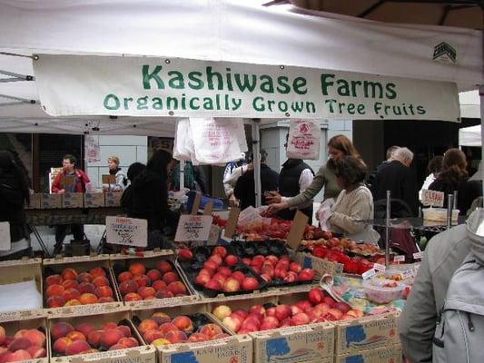 Saturday farmer's market stall