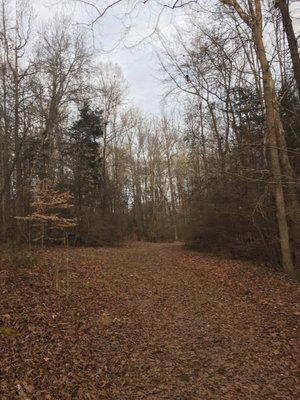 Bailes Ridge Nature Trail