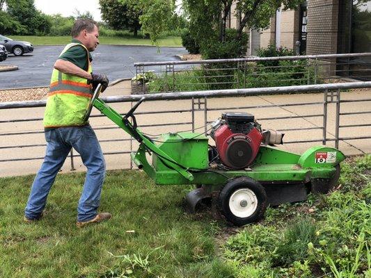 Stump grinding after a tree removal