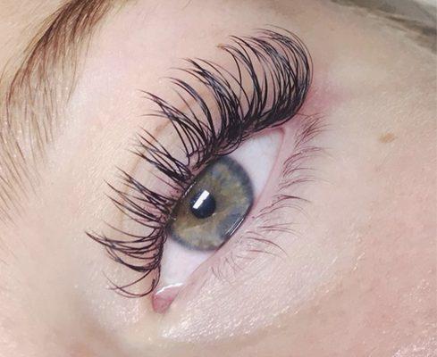 Classic Lashes