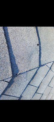 Backing strip still on shingle and another of the damaged shingles replaced during a follow-up visit