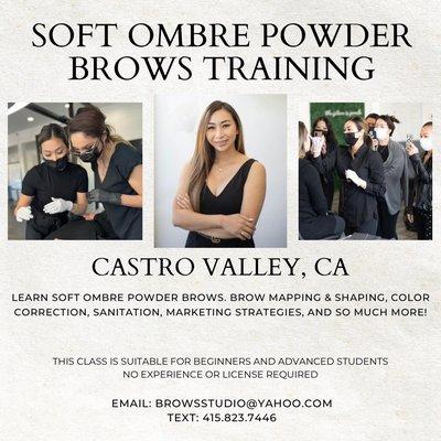 Brow Training is Available. Course will be taught by master instructor Maureen. You will learn the fundamentals of soft ombré powder brows.