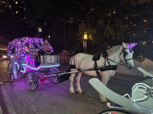 A unicorn carriage ride! What could be cuter?