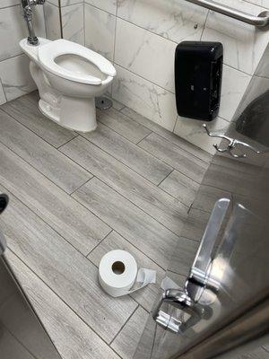 Broken toilets