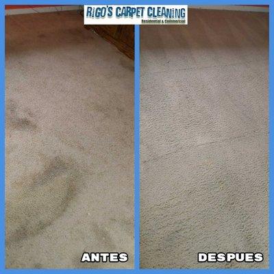 Rigos Carpet Cleaning  925-436-7524 -925-565-3048 Carpet Cleaning-Order Removal-Auto Interiors  Upholstery