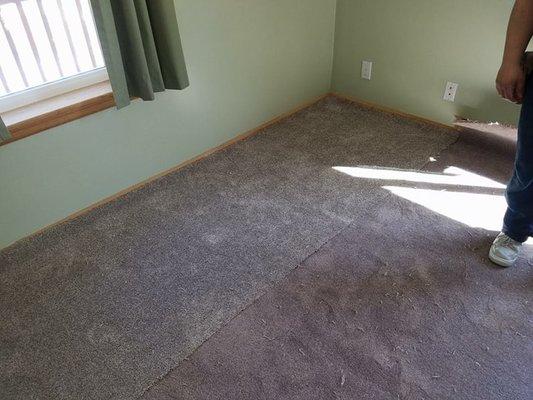 The wrong carpet that floor trader sold us. The piece by the window was what we got when we ordered more of what we 1st purchased.