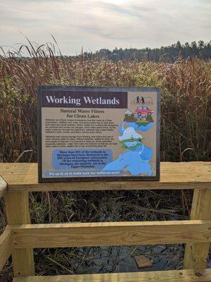 I love the interpretive signs @ the bump outs; informative and well-made.