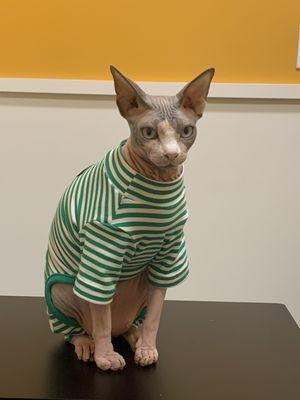 Dexter loves his vet, maybe not his pajamas!