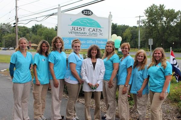 Just Cats Veterinary Clinic