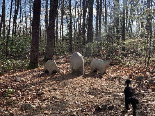 Stone bears?