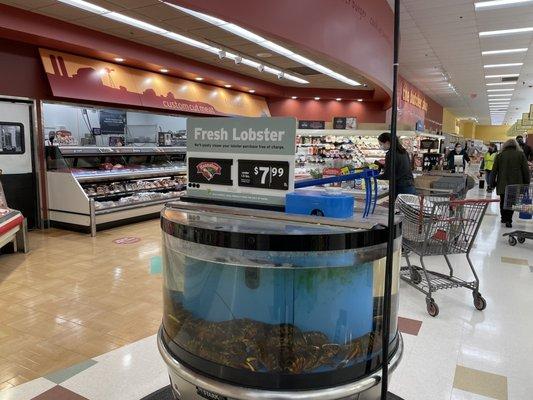 Strangely unpopulated store the day before Thanksgiving