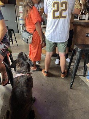 Dog treats for puppers are on hand by the register!