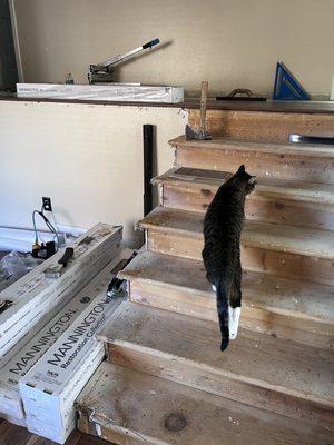 The laminate flooring that was supposed to go on the stairs