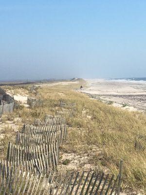 Looking east towards Hampton Bays