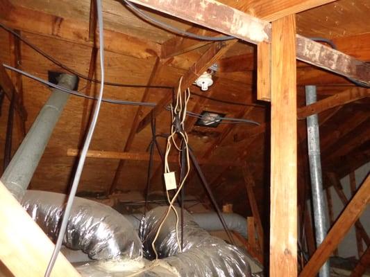 The electrical wires in the attic need to be removed before a fire begin.