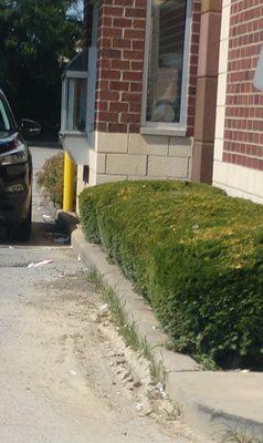 Dirty Drive-thru