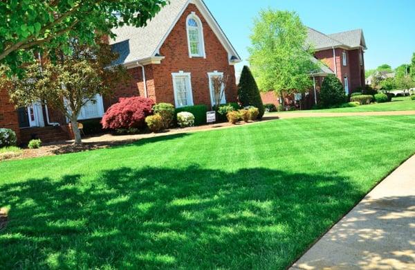 Dawsonville's best lawn and landscape company