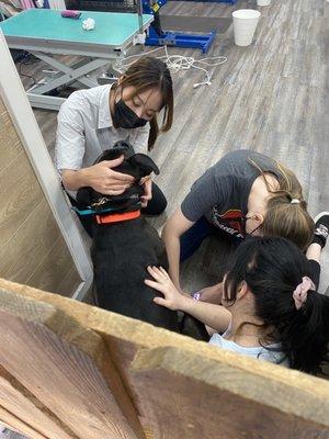 Their staff patiently calming my dog during a nail trim (he gets very anxious). Really appreciate the team here!