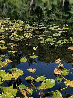 Lake Fenwick Park