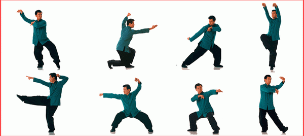 Northern praying mantis kung fu, famous positions