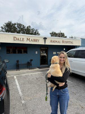 Dale Mabry Animal Hospital