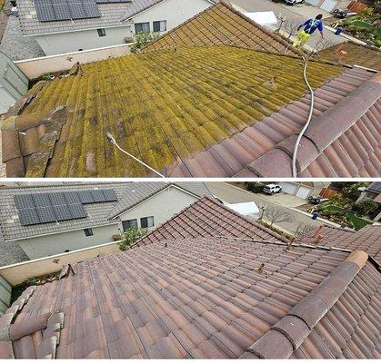 Before & After tile roof cleaning.