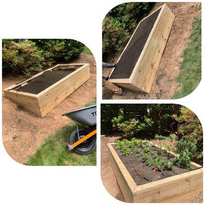 Garden bed to plant vegetables