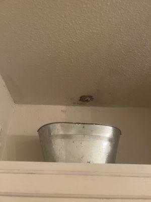 Hole in roof with water coming from upstairs unit.